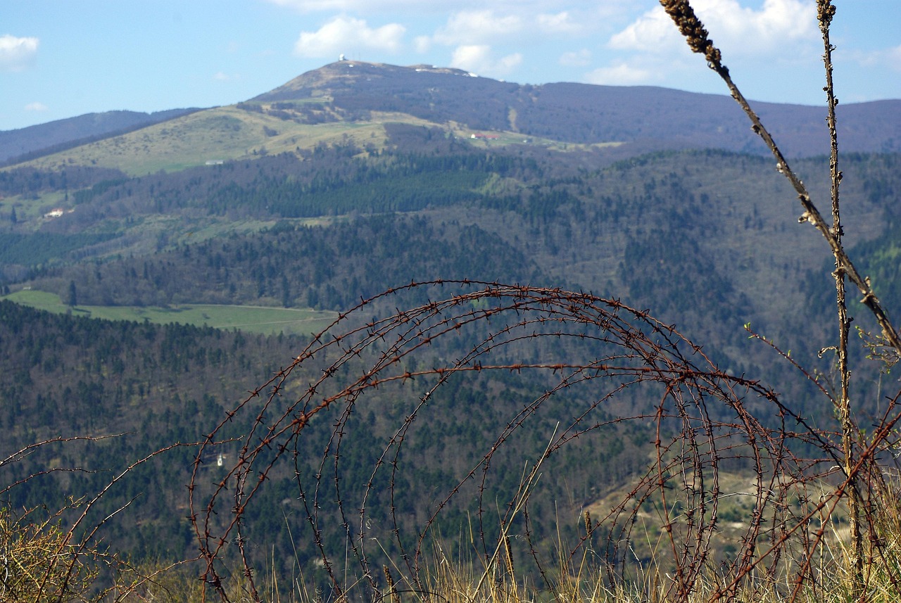 丰信移动实名账号：山东工商注册代理哪家专业